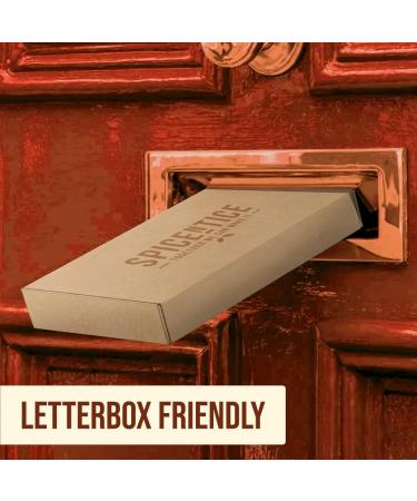 Spicentice Satay Seasoning (Pack of 6) - Buy Online on GoSupps.com