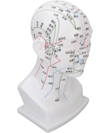 Buy Acupuncture Head Model with Point Markings | Ideal for Facial Treatments & Training Props - 11.8 inches Soft PVC - Buy Online on GoSupps.com