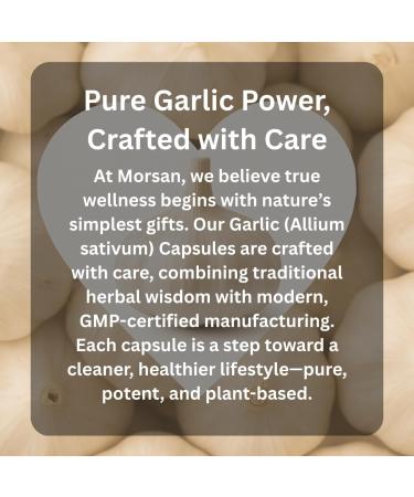 Morsan Healthcare Garlic Capsules 500 mg with Allium sativum Extract. 120 Capsules per Bottle Herbal Garlic Supplement in Capsule Form for Daily Use Standard Size Pack of 2 Bottles for Adults - Buy Online on GoSupps.com
