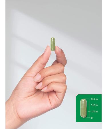 Saw Palmetto Extract Capsules | 120 Count | Gluten Free | Made from Berries | Horbaach - Buy Online on GoSupps.com
