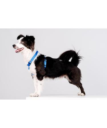 Chaba Guard Dog Harness for Small Dogs - Anti-Choke Adjustable Lightweight Classic Step-In Design - Perfect for Running - Available in Blue - Buy Online on GoSupps.com