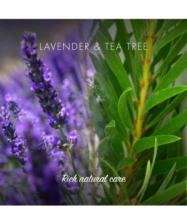 Friendly Soap - Lavender & Tea Tree Shampoo Bar (95g) Natural Healthy Shine Nourishing Moisturising Soothing Plant-Based Cruelty-Free Made By Hand No SLS or Parabens Sustainable - Buy Online on GoSupps.com