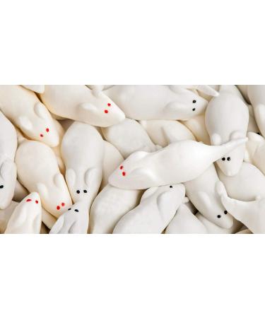 Buy 660g Handmade White & Gray Giant Foam Mice - Gluten-Free & Lactose-Free | Aseli Mouse Bacon in Re-Lockable Box - Buy Online on GoSupps.com