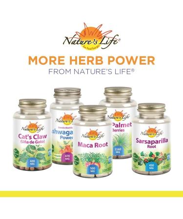 Nature's Herbs Celery Seed - 100 Vegetarian Capsules for Natural Health - Buy Online on GoSupps.com