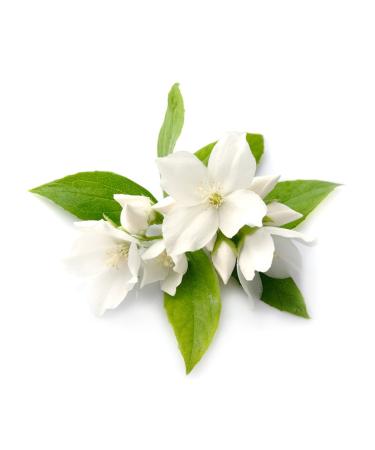 Jasmine - Thai aroma oil - 500ml - massage oil with the scent of Thailand - jasmine oil