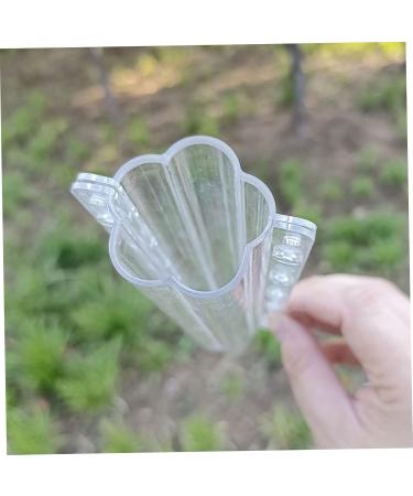 Toddmomy Horticulture 6 Pcs Vegetable Shaping Mold Strawberry Stereotypes Cucumber Molds - Buy Online on GoSupps.com