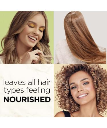 Sulfate Free Hair Food Shampoo with Argan Oil & Avocado 17.9 Fl Oz - Dye Free Smoothing Treatment - Buy Online on GoSupps.com