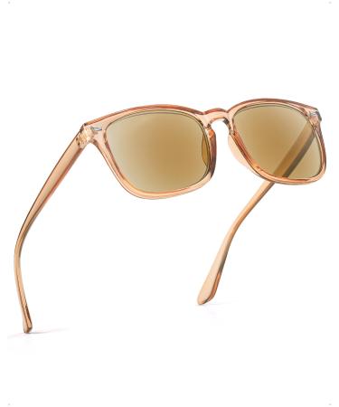 Reading Sunglasses for Women Men Full Lens readers Sunglasses UV400 Protection IF8082 Brown 1.25 x