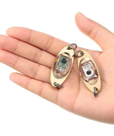 Arkaan 10pcs LED Fishing Lure - Underwater Blinker & Halibut Flasher for Trolling & Deep Drop Fishing - International Shipping - Buy Online on GoSupps.com