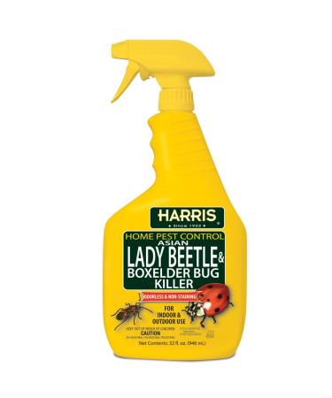 Harris Asian Lady Beetle and Box Elder Killer, Liquid Spray with Odorless and Non-Staining Extended Residual Kill Formula (32oz)