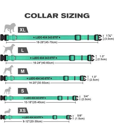 Tagme Personalized Reflective Dog Collar for Large Dogs - Embroidered Nylon with PET Name & Phone Number - Turquoise XL (1 Pack) - Buy Online on GoSupps.com