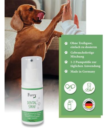 Furry Dental Spray for Dogs & Cats - 100ml | Fresh Breath Tartar Prevention & Mole Smell Control | Vegan & Aloe Vera Formula - Made in Germany - Buy Online on GoSupps.com