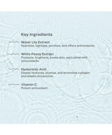 Antioxidant Hydrating Face Mist with Hyaluronic Acid & Vitamin C | Makeup Setting & Cooling Spray | Blue Light Protection | Vegan & Dermatologically Tested | 100ml - Indy Beauty - Buy Online on GoSupps.com