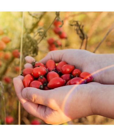 100% Pure Rosehip Powder (500g) - Vegan, Additive-Free Ground Rosehip Flour and Granules - Buy Online on GoSupps.com