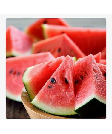 Watermelon Scented Natural Soy Wax Candle | 16oz Large Double Wick for Soothing Ambiance - Buy Online on GoSupps.com