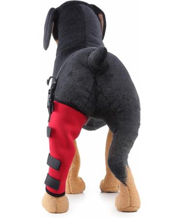 Dog Right Hind Leg Knee Brace Dog Braces for Back Legs Super Supportive for Heals Prevents Injuries Sprains Protects Wounds. B Medium - Buy Online on GoSupps.com