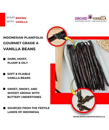 Indonesian Vanilla Beans Gourmet Grade-A For Extract And Baking By Weight (1/2 Lb (Pack of 1)) - Buy Online on GoSupps.com