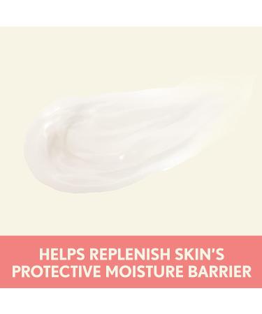 Aveeno Ultra-Calming Night Cream for Dry Sensitive Skin - 1.7 oz (Pack of 3) - Buy Online on GoSupps.com