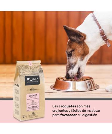 Avantis Pet Pure Oceanic Adult - Food for Adult Dogs of All Breeds with Sensitive Stomachs - 12 kg - Dry Food for Dogs with Digestive Disorders - Highly Digestible with Salmon - Buy Online on GoSupps.com