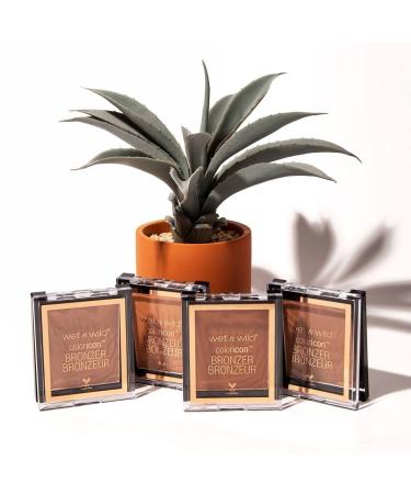 WET N WILD Color Icon Bronzer - What Shady Beaches | Buy Internationally Flawless Glow - Buy Online on GoSupps.com