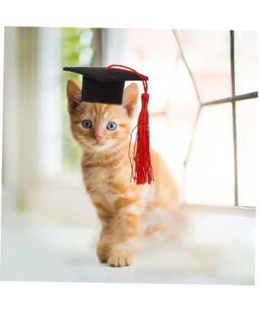 Beavorty 2-Part Elastic Doctor Cap Hat Set for Dogs - Stylish Dog Clothing & Headband for Men - Party & Costume Accessory - Red 5.5x3.5cm - Buy Online on GoSupps.com