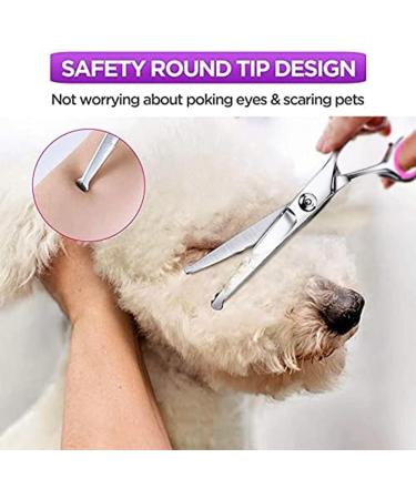 Premium Dog & Cat Fur Care Set | Stainless Steel Scissors & Grooming Cups for Happy Pets - Buy Online on GoSupps.com