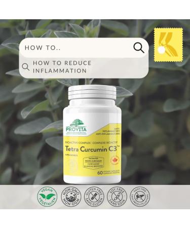 Provita Tetra Curcumin: The Superior White Curcumin Supplement for Enhanced Health and Wellness (60 Capsules) - Buy Online on GoSupps.com