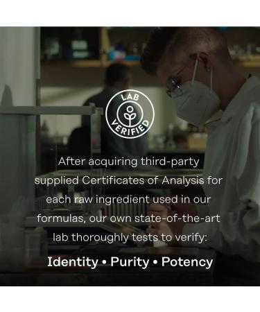 Solaray Menopause Supplements for Women | Vegan & Gluten Free | Support Mood Sleep Hot Flashes | 60 VegCaps - 30 Servings - Buy Online on GoSupps.com