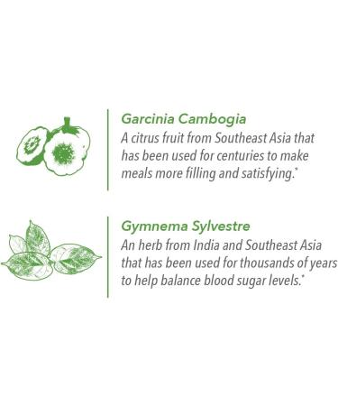 Lean + Green Premium 100% Sencha Green Tea with Super Citrimax & Gymnema Sylvestre - 24 ct for Weight Management, Appetite Control, and Sugar Balance | Javita - Buy Online on GoSupps.com