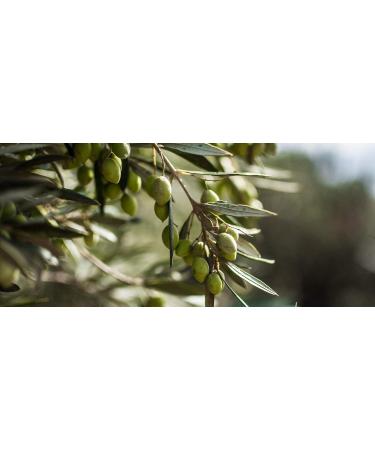 Deligreece Archelaion Extra Limited Native Olive Oil - Cold-Pressed Koroneiki Olives (250ml Unfiltered) - Premium International Shipping - Buy Online on GoSupps.com