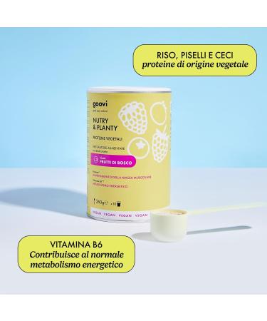  Goovi Goovi Nutry & Planty Berry Flavor Protein Powder Plant-Based Protein 260g - Buy Online on GoSupps.com