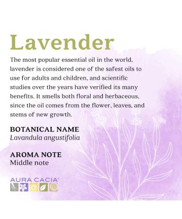 Aura Cacia Pure Lavender Essential Oil 2 fl oz - Aromatherapy & Wellness - Buy Online on GoSupps.com