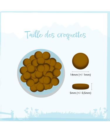 Wild Animal Light Premium Dry Dog Food Trout with Salmon Sweet Potato and Asparagus Grain Free Pack of 1 (1 x 12 kg) - Buy Online on GoSupps.com