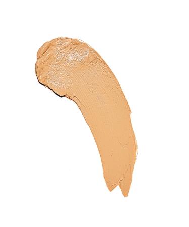 Buy Makeup Revolution Fast Base Stick Foundation F8 (30g) - Brown | International Shipping Available - Buy Online on GoSupps.com