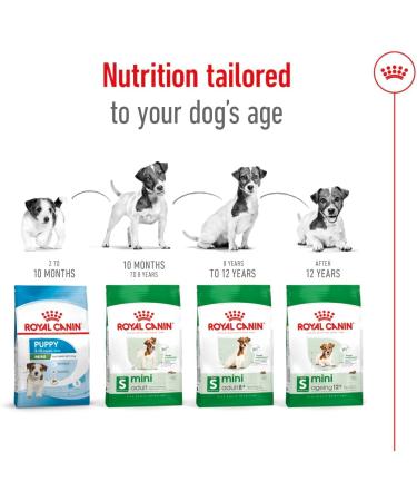 Royal Canin Mini Adult Dog Food 0.8 kg Variety 800 g (Pack of 1) - Buy Online on GoSupps.com