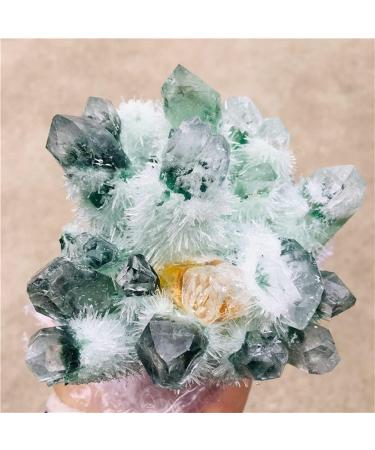 Natural Crystal Rough Natural Green Ghost Phantom Quartz Crystal Cluster Rock Stones and Crystals ReikiSpecimen Home Deco for Decoration Stone Generator (Size : 500-600g) - Buy Online on GoSupps.com