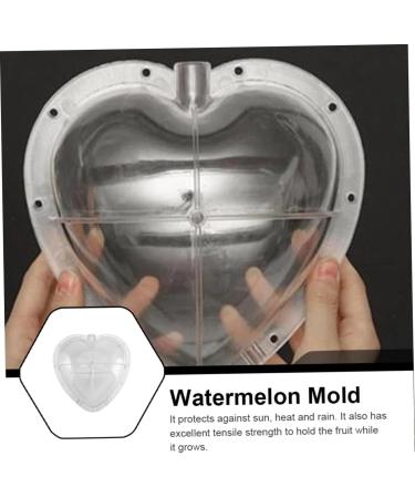 Hoement Fruit Shaping Molds Fruit Vegetables Square Tool Watermelon Shaping Grow Mold Cooking Utensils Strawberry Pumpkin 17x17cm Transparent - Buy Online on GoSupps.com