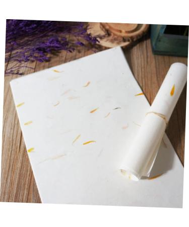 Lurrose 40 Sheet Rice Paper Cardstock Paper Ink Sumi Xuan Paper Chinese Calligraphy Hand Made Ink Painting - Buy Online on GoSupps.com