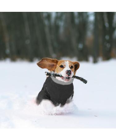 Waterproof Fleece Lined Dog Jacket - Warm Winter Coat for Small Dogs | Stylish Black Dog Clothing - Buy Online on GoSupps.com