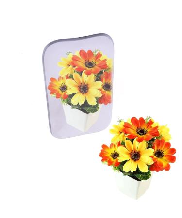 Angzhili 5Pcs/Set Dental Photography Mirrors - Orthodontic Reflector Glass Occlusal Mirror for Dental Tool - Buy Online on GoSupps.com