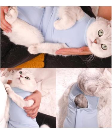 AHEOVSD Cat Recovery Onesie Cat Recovery Shirt Professional Cat Recovery Suit for Cats and Dogs After Surgery Wear Anti Licking Wounds (Blue M) - Buy Online on GoSupps.com