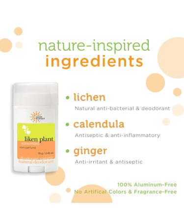 Earth Science Unscented Lichen Plant Deodorant 2.45 oz (Pack of 4) - Buy Online on GoSupps.com