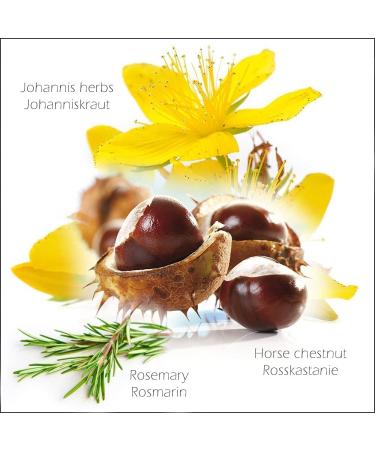 Cristinenmoor Devil Claw Balm 500ml - 100% Natural South African Formula for Joint Care & Scaly Skin - Infused with Olive Lavender & Rosemary Oil - Buy Online on GoSupps.com