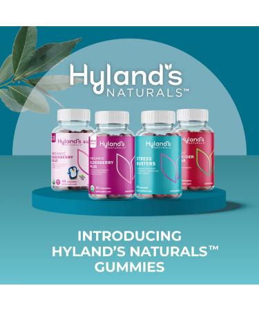 Hyland's Naturals Kids Organic Elderberry Plus Gummies + 4Kids Cold & Cough Daytime (4 fl. oz.) & Nighttime (4 fl. oz.) Value Pack Cough Syrup - 48 Vegan Kids Gummies + 8oz. Cold & Cough Syrup - Buy Online on GoSupps.com