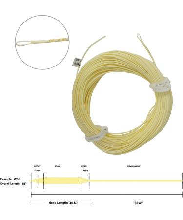 Aventik Trout Fly Line - Weight Forward Floating Cord with Exposed Loop | Easy Line ID - Milk Yellow 8WT - 1 Pack - Buy Online on GoSupps.com
