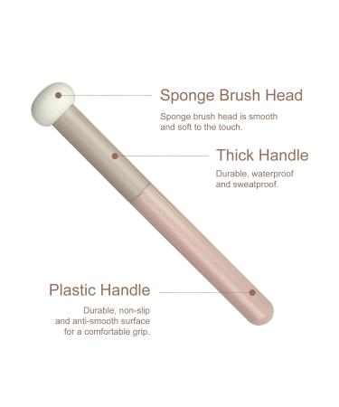 5-Piece Vegan Mushroom Makeup Sponge & Concealer Brush Set for Flawless Skin - Ideal for Face Nose & Eyelids - Buy Online on GoSupps.com