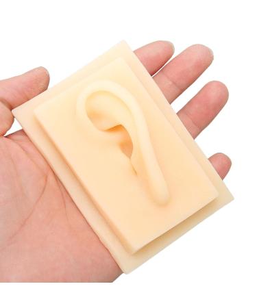 Buy Earl Model Silicone Acupuncture Ear - Natural Size Soft & Shiny - Perfect for Teaching (Left) - Buy Online on GoSupps.com