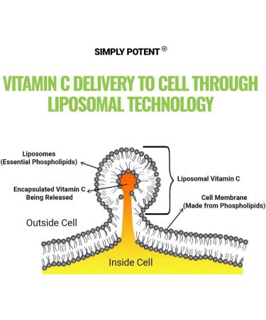 High Dose Liposomal Vitamin C 1200mg Capsules for Immune Support & Collagen Synthesis - Buy Online on GoSupps.com