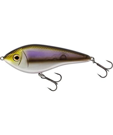 Westin Swim 12cm 53g Firetiger Jerkbait - Perfect for Pike & Zander Fishing | Premium Suspending Lures - Buy Online on GoSupps.com