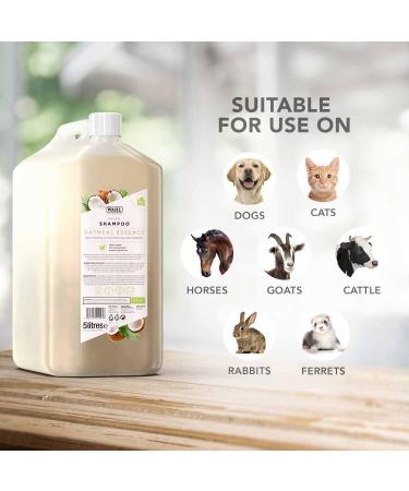 Wahl Showman Oatmeal Essence Shampoo - 5L Unisex - Gentle Cleansing for All Coat Types | WHL0097 - Buy Online on GoSupps.com